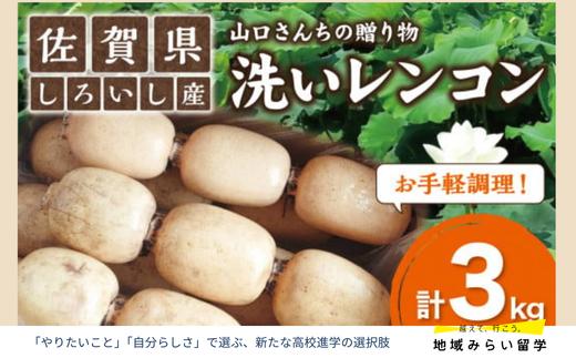 
                  【山口さんちの贈り物｜佐賀県しろいし町産】産地直送「洗いしろいし蓮根」3kg
                