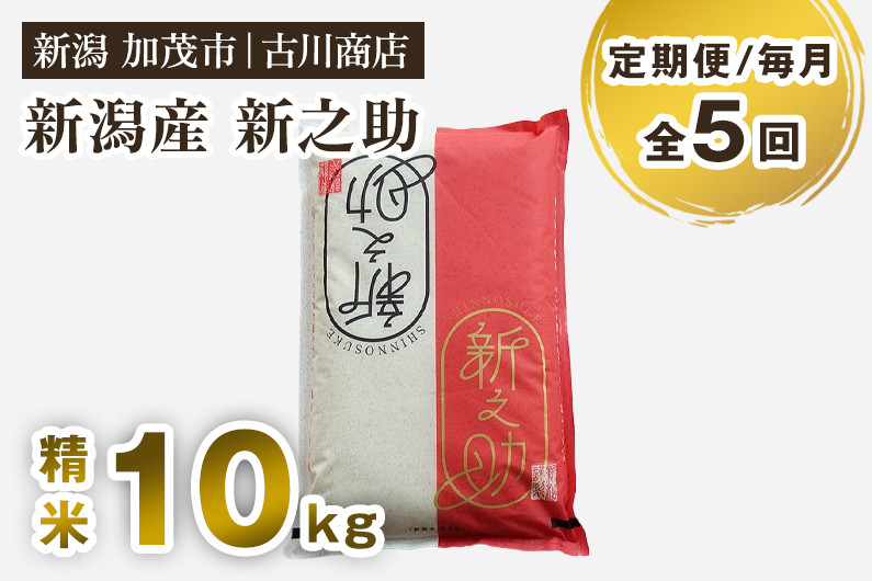 
            【令和7年産新米】【定期便5ヶ月毎月お届け】新潟の新ブランド米「新之助」精米 10kg 《順次発送》 白米 お米 米 大粒 加茂市 お米の専門店 古川商店 定期便
          