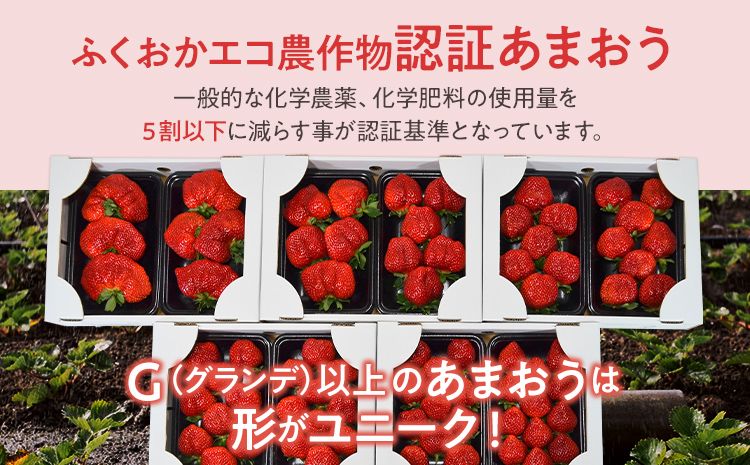 ふくおかエコ農作物認証あまおう G以上 2箱セット あまおう イチゴ 苺 いちご フルーツ 果物 くだもの 福岡県産 お取り寄せグルメ お取り寄せ 福岡 お土産 九州 福岡土産 取り寄せ グルメ 福岡