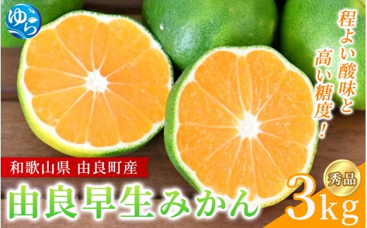 【2026年秋・先行予約】 秀品 由良早生 みかん 約3kg / 極早生 早生みかん 温州みかん ゆらわせ 柑橘 密柑 甘い 和歌山 由良町 サイズおまかせ 先行予約 ※2026年10月上旬～10月下旬頃に順次発送【sml107C】