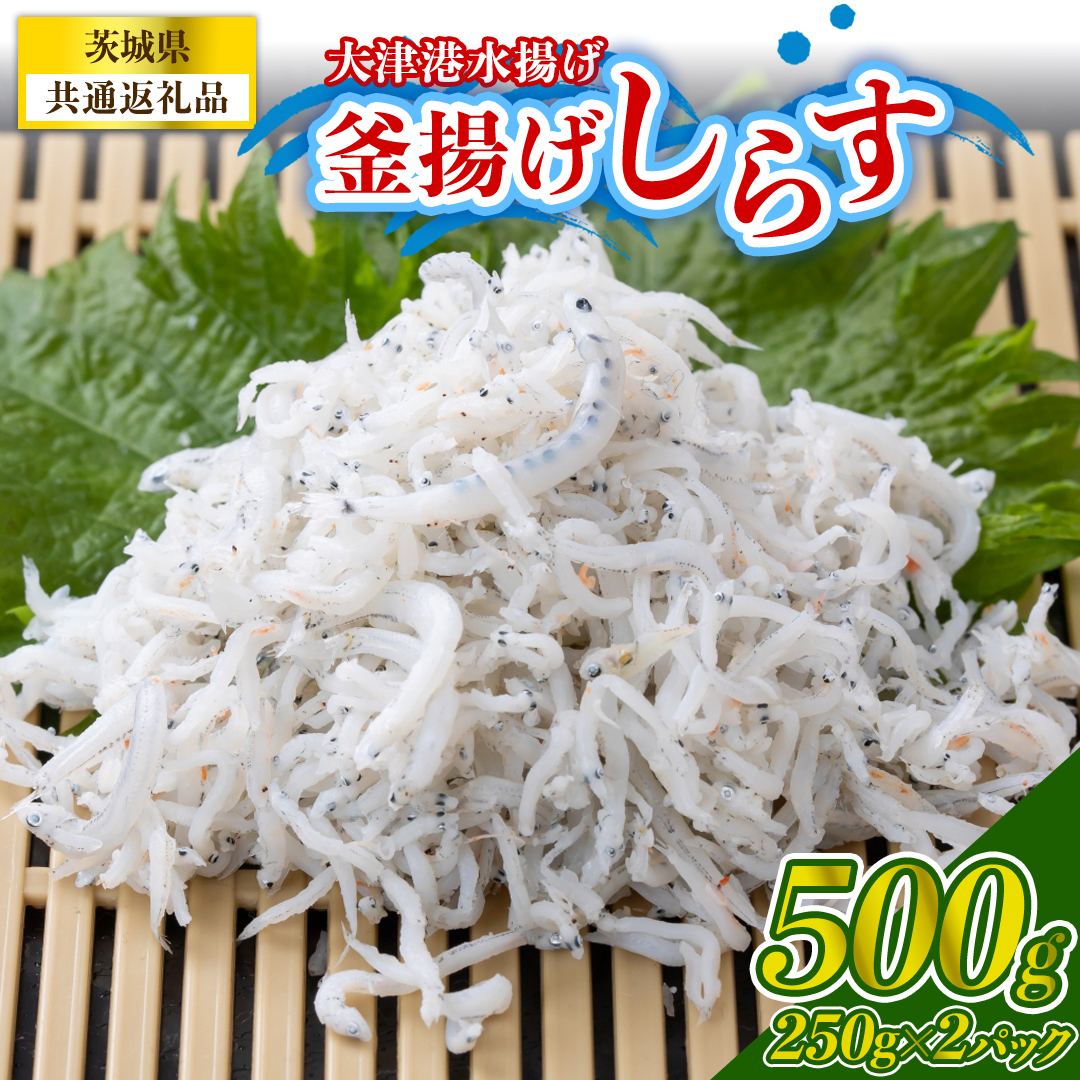大津港水揚げの釜揚げしらす 500g(250g×2パック) (茨城県共通返礼品:北茨城市) (BC008)
