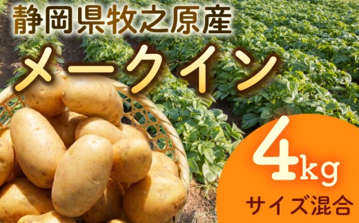 【先行予約 2027年3月順次発送 国産 じゃがいも】 掘りたて メークイン 4kg  新じゃが 国産 牧之原産  美味しい たっぷり 旬 野菜 国産 新鮮 お試し 牧之原産 サラダ 野菜 朝採れ 季節の野菜 食品 お取り寄せ きせつ 農家  季節もの お中元 静岡じゃがいも しんせん カレーライス ポテトサラダ コロッケ 肉じゃが おすすめ お弁当 日常 丸新柴本製茶 静岡 県 牧之原市