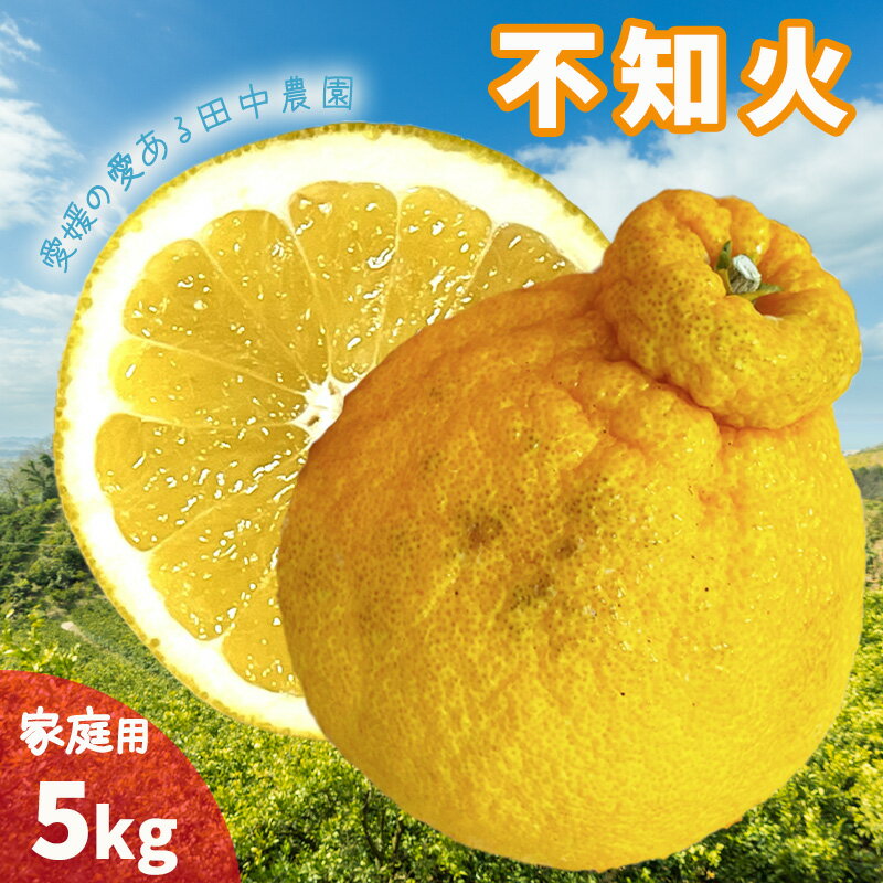 【ふるさと納税】 不知火 しらぬい 約5kg 家庭用 【2月下旬から順次発送】 でこぽんと同品種 柑橘類 先行予約 フルーツ 柑橘類 先行予約 果物 フルーツ みかん シラヌイ 人気 おすすめ 愛媛 松山 田中農園