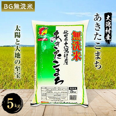 【ふるさと納税】あきたこまち無洗米5kg【配送不可地域：離島・沖縄県】【1107610】