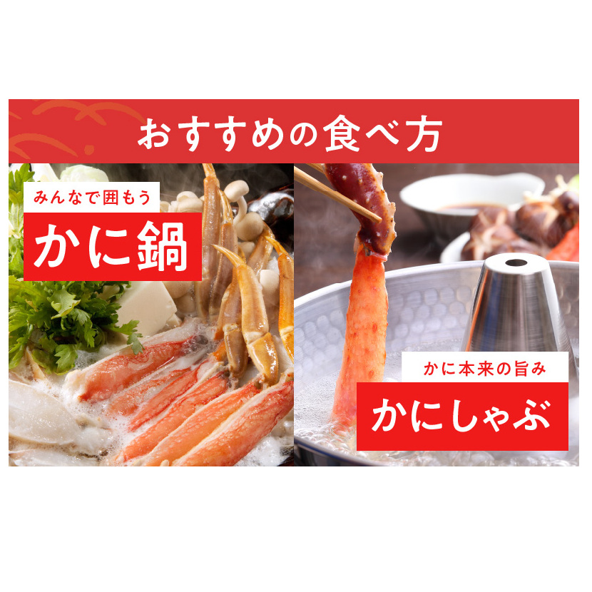 殻剥き不要 ズワイガニ 棒肉 ポーション 合計 500g（10本以上）特大サイズ 加熱用 099H2280_イメージ4