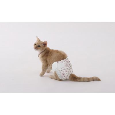 ふるさと納税 大河原町 【42枚入り×6袋】ペット用おむつ ピタフィット XXS 42枚入 女の子用[53753365] |  | 02