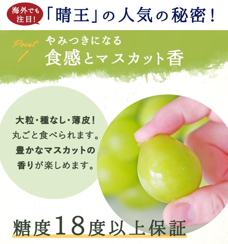 岡山県産　シャインマスカット『晴王』1房(800g以上) 化粧箱入り