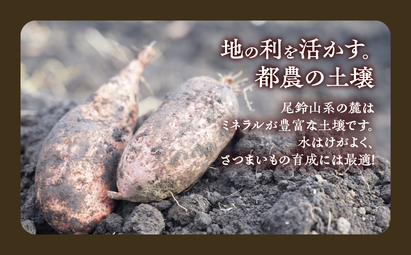 ≪期間限定≫都農町産安納芋(計5kg) 野菜 芋 イモ 国産_T016-0011