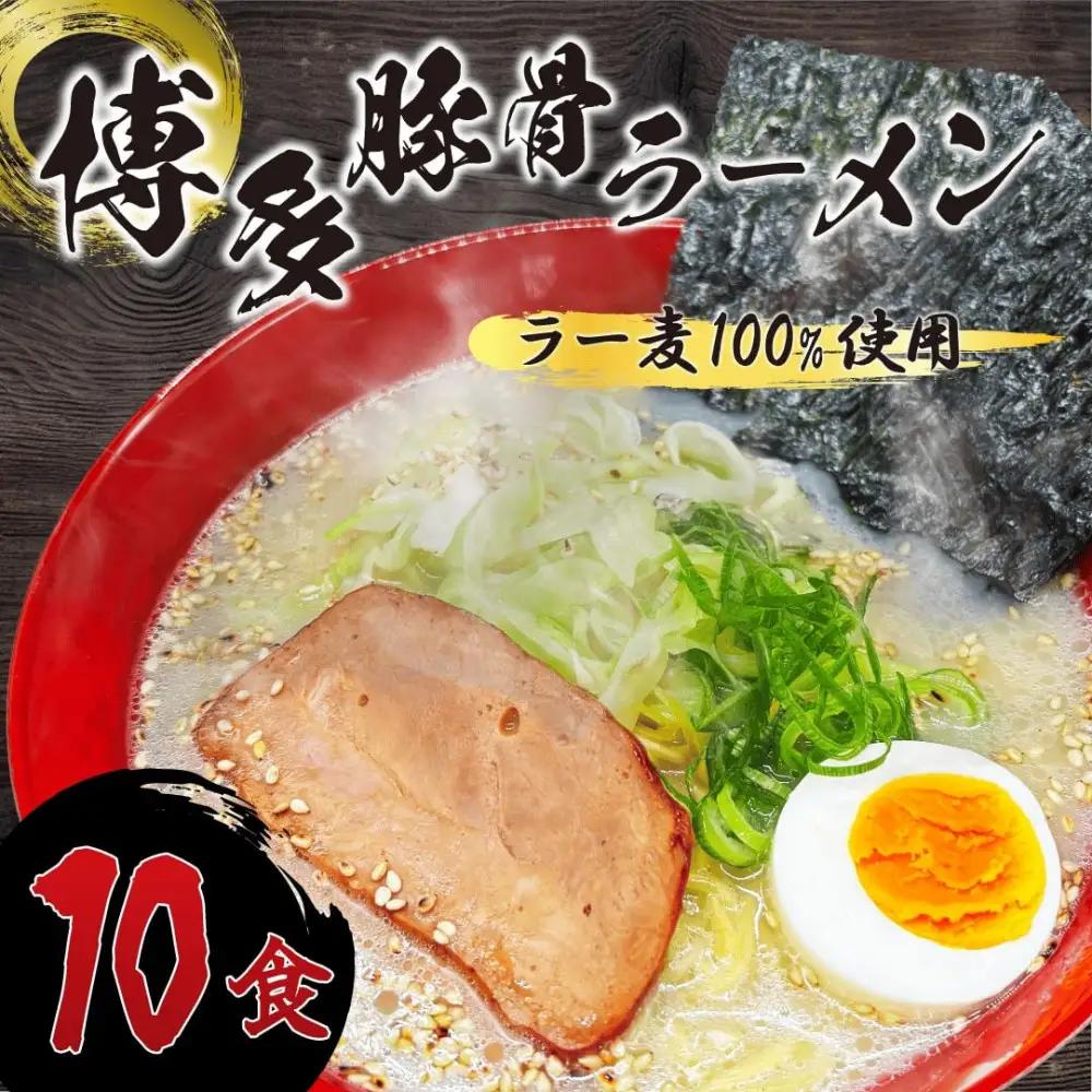 【化粧箱入り】福岡県産ラー麦100％使用の中華麺がうまい！博多グルメ代表とんこつラーメン(10食)