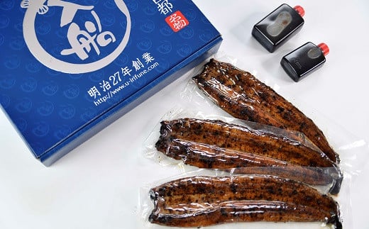 うなぎ 蒲焼 3尾 炭火焼 無頭 炭火の香ばさ際立つ老舗 「うなぎの入船」熟成たれ付 国産 宮崎 蒲焼 鰻 宮崎 かば焼 鰻 ＜3-9＞