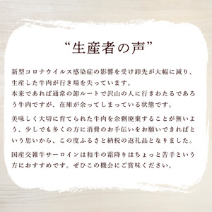 ステーキ サーロインステーキ 3枚入 600g