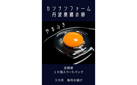 【3ヶ月定期便】丹波奥郷の卵 やまぶき 45個＋5個保証 約3kg 兵庫県丹波市産 こだわり 新鮮たまご