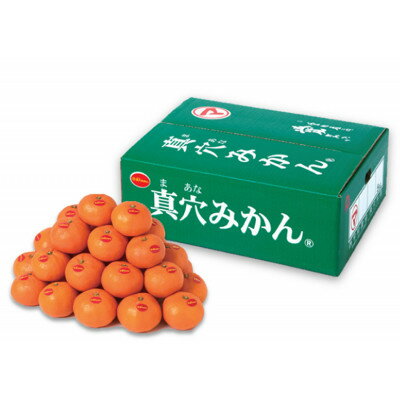 【ふるさと納税】真穴みかん【2Lサイズ】約5kg【E43-11】【1654525】