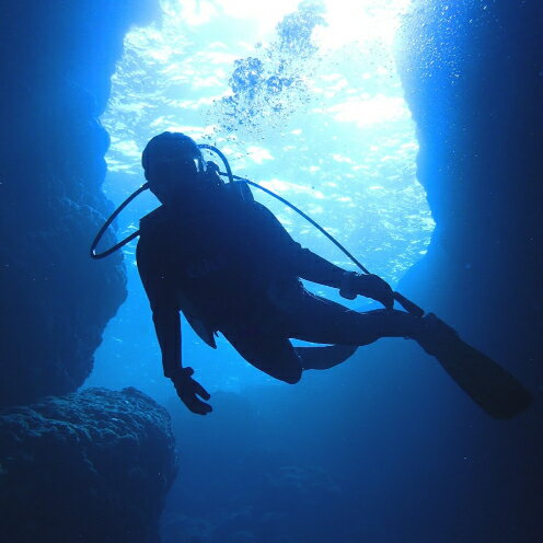 【ふるさと納税】【むるぬーし】ボート体験ダイビング＜3名様分＞