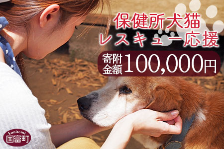 ＜保健所犬猫レスキュー【返礼品なしのご寄附】＞寄付金額100,000円※お礼状をお送りいたします。【 犬 猫 動物 ペット 寄附 保護 いのちのはうす保護家 】