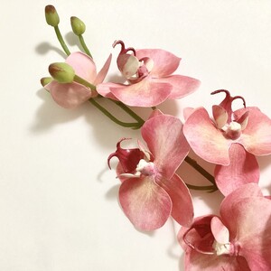 【選べるカラー】限りなく生花のように…倒しても溢れない魔法の水「胡蝶蘭」 ※北海道・沖縄・離島への配送不可