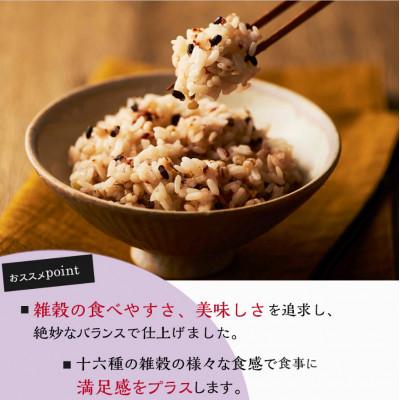 ふるさと納税 松原市 ご飯パック 十六雑穀ごはん 160g×48個 |  | 03