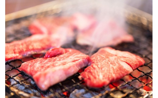 おおいた独り焼肉セット計700g/豊後牛中落ちカルビ,ホルモンほか（1158R）