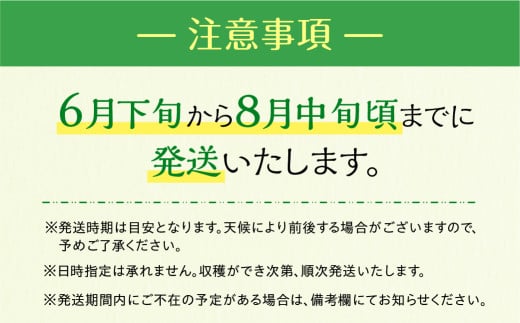 先行予約 伊良湖産 マスクメロン Premium 2玉 2024年7月以降順次発送 箱詰め メロン フルーツ 果物 お取り寄せ ギフト 渥美半島 田原市 産地直送 送料無料