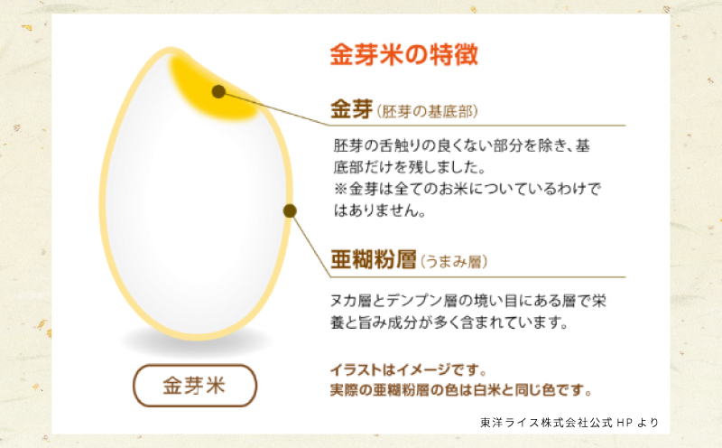 金芽米4.5kg＋金芽ロウカット玄米2kgセット 【ご飯 ごはん お米 精米 金芽米計量カップ付】 099H4352