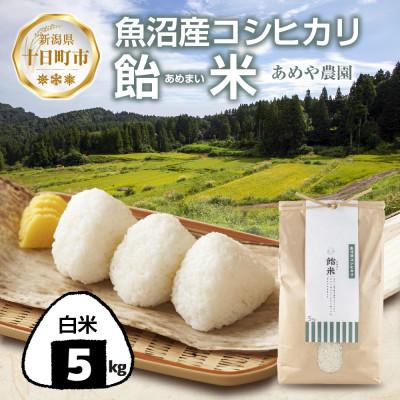 ふるさと納税 十日町市 【令和8年産 新米】 魚沼産 コシヒカリ 5kg 精米 産地直送 新潟県十日町市 あめや農園
