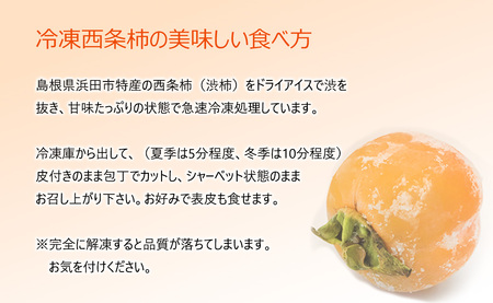 浜田自慢 西条柿そのまんまシャーベット 6個セット 果物 フルーツ 柿 西条柿 冷凍 シャーベット 【145_2068】