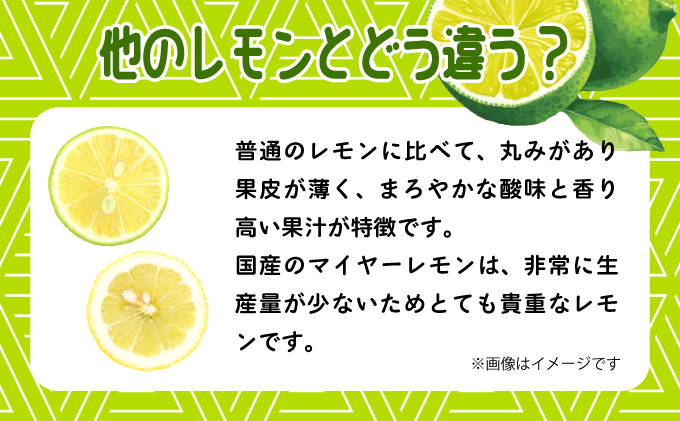【2025年発送】まろやか多汁マイヤーレモン （島レモン）約2kg 2kg