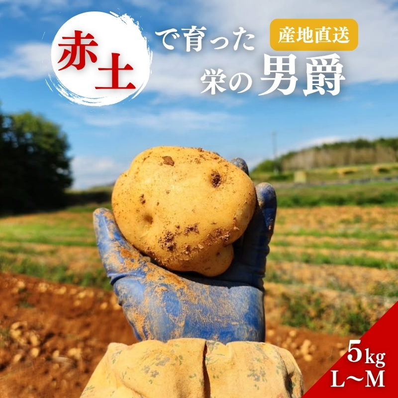 じゃがいも 男爵 5kg 産地直送 野菜 ジャガイモ 芋 赤土 加西市 栄町