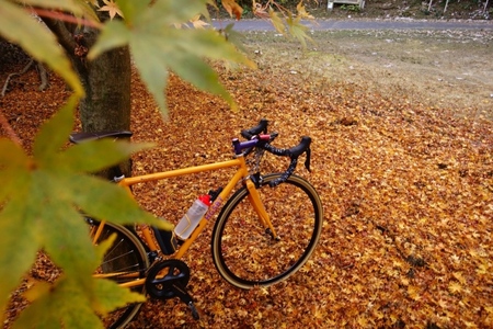 和尚のガイドで巡る自転車ツアー「ディープな京都・宇治田原」2名様分 体験チケット