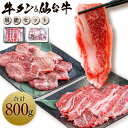 【ふるさと納税】お肉の宮城県堪能セット 計800g 牛肉 お肉 牛たん タン タン塩 味付き タン中 厚切り 焼肉 BBQ バーベキュー 食べ比べ セット 冷凍 仙台牛 A5 B5 ランク 地域ブランド ブランド牛 切り落とし 切落し 塩竈市 宮城県