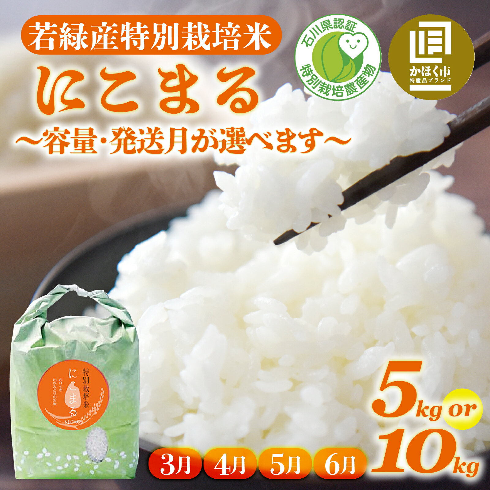 【ふるさと納税】【先行予約 令和7年産】【発送月・容量が選べる】若緑産 特別栽培米「にこまる」5kg～10kg【2026年3月～6月発送】 / 令和7年産 米 単一原料米 ニコマル 国産 こめ コメ 食品 常温 ご飯 お取り寄せ