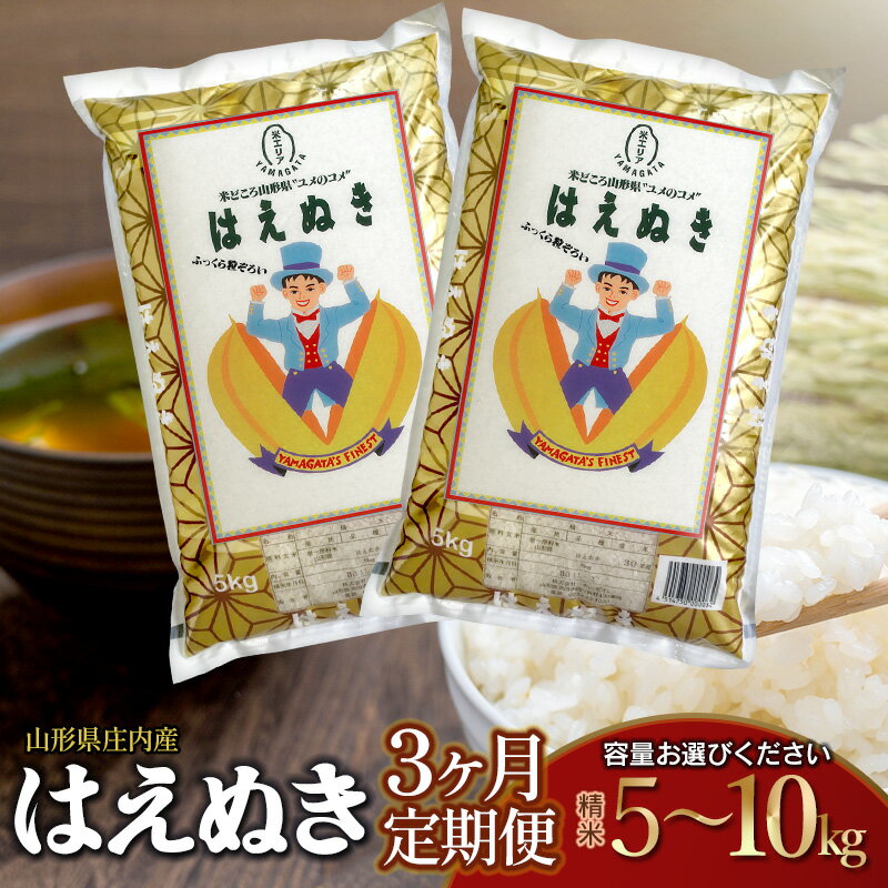 【ふるさと納税】【3ヶ月定期便】令和7年産 はえぬき 精米　容量お選びください［5kg または 10kg］×3回 山形県 庄内産 | 鶴岡市 楽天ふるさと 納税 返礼品 白米 精米 美味しい お米 おいしい おこめ コメ ブランド米 キロ 名産品 特産品