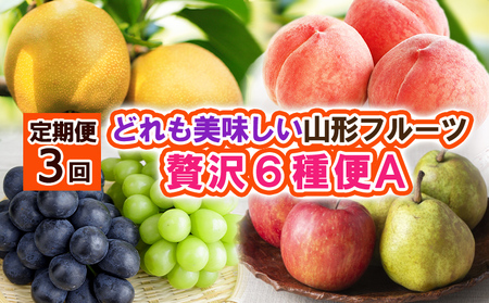 【定期便3回】どれも美味しい山形フルーツ贅沢6種便 A 【令和7年産先行予約】FS24-740