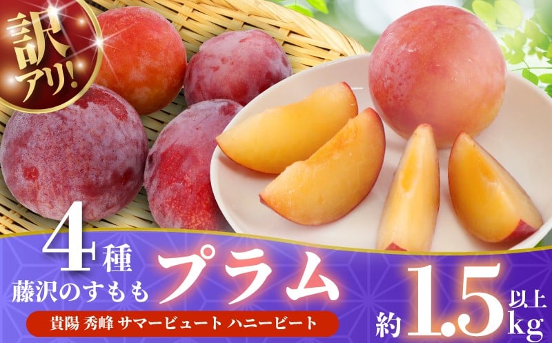 
                  【先行予約】 プラム すもも 約1.5kg 以上 2026年7月上旬発送 開始 貴陽 秀峰 サマービュート ハニービート 訳あり 訳アリ わけあり 訳有 くだもの 果物 フルーツ おやつ デザート プルーン ぷらむ お取り寄せ 不揃い 先行予約 数量限定 産地直送 農家直送 ふるうつらんど井上 神奈川 湘南 藤沢
                