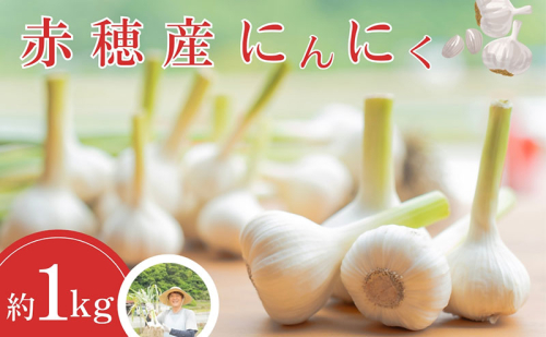 赤穂産 栽培期間中無農薬 にんにく（300g）　ニンニク 兵庫県 赤穂市