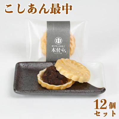 ふるさと納税 杵築市 和菓子 木付やのこしあん最中(もなか)12個セット