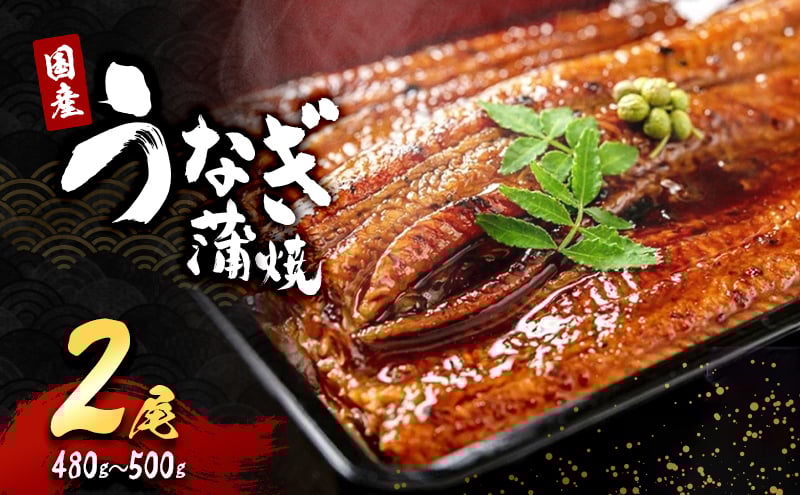 
            「国産うなぎ蒲焼」2尾(480g～500g)[№5385-0630]
          