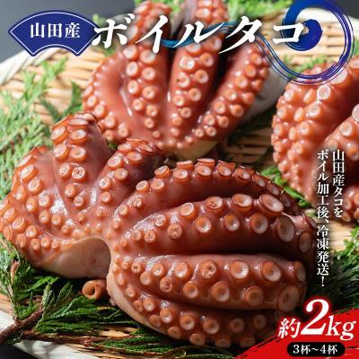 ふるさと納税 山田町 三陸山田産 ボイル タコ 2kg たこ たこ焼き 刺身