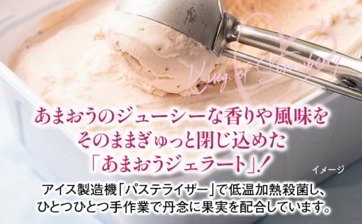 福岡産 あまおうジェラート 100ml×6個 あまおう イチゴ いちご ジェラート スイーツ 果物 フルーツ アイス プレゼント 御見舞 お取り寄せ ストロベリー 南国フルーツ株式会社 CO029