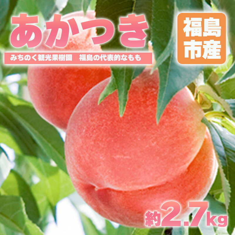 【ふるさと納税】No.2344もも「あかつき」贈答用　約2.7kg【2025年発送】