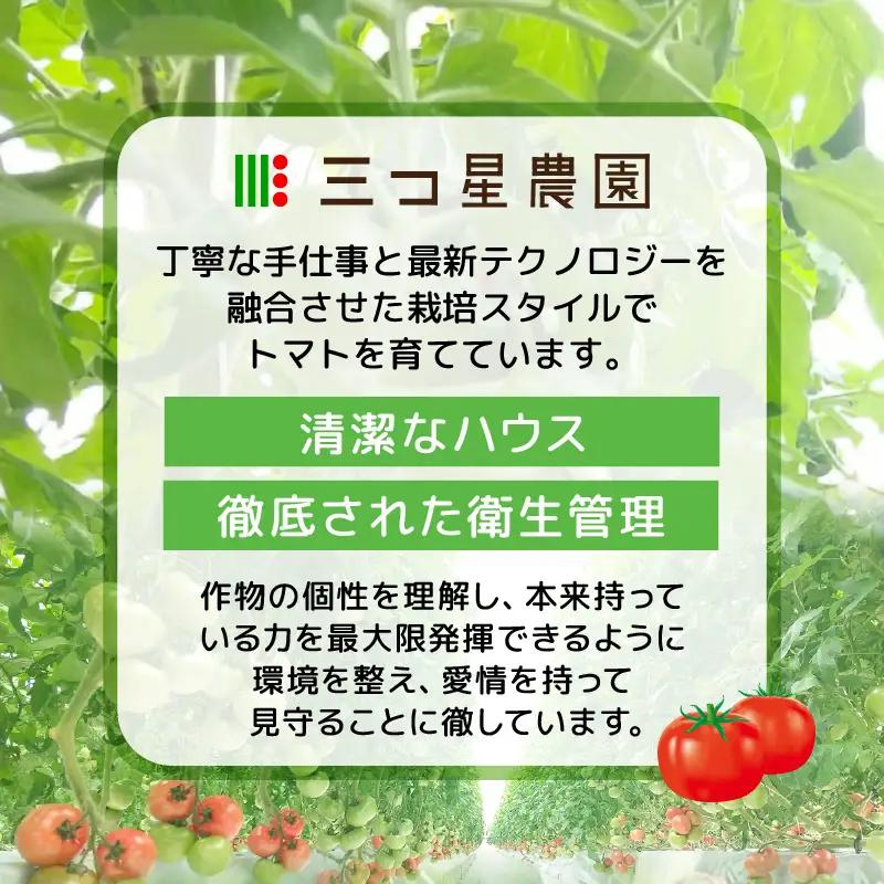 新鮮トマト 1ケース 約4㎏ (16～24玉入) とまと [A-2606]
