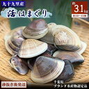 【ふるさと納税】九十九里産　活はまぐり　約3.1kg【配送不可地域：離島】【1220340】