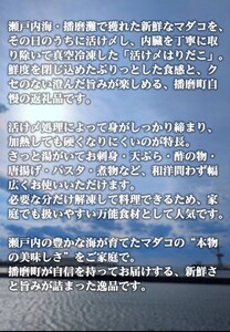 播磨町産活け〆はりだこ 1匹 タコ 海鮮 魚介類 瀬戸内 兵庫県 播磨町
