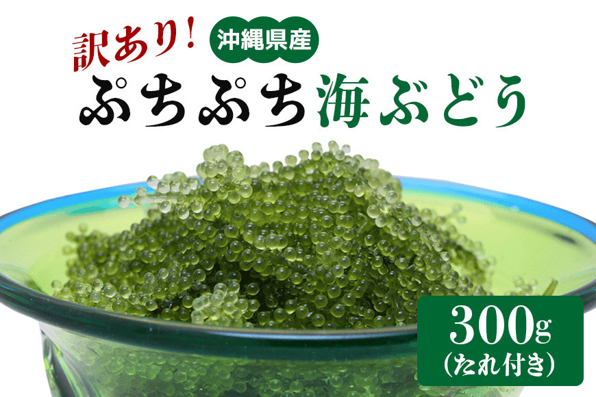 【訳あり】 ぷちぷち海ぶどう 300g 訳アリ 沖縄県 海ぶどう 海ブドウ ウミブドウ 沖縄 大人気 特産物 お土産 健康 栄養 美容 美肌 ダイエット ミネラル マグネシウム カルシウム 鉄分 タレ付き おつまみ うみぶどう 海藻 グリーンキャビア   沖縄県 糸満市