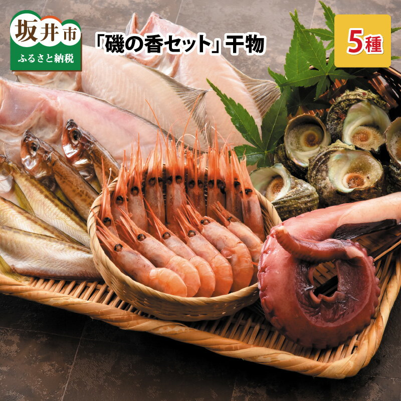 【ふるさと納税】こだわりの 「磯の香セット」 干物5種入り