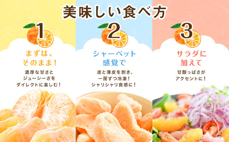 不知火 秀品・優品混合/サイズ混合 5kg 中畑農園 しらぬい 柑橘