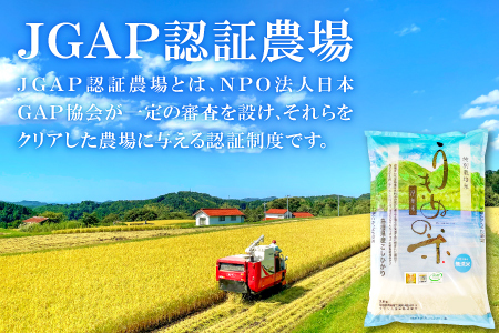 さんべ浮布米（無洗米）定期便（5kg×2回コース）【令和5年産 2023年産 定期便 2回 特別栽培米 コシヒカリ 無洗米 5kg×2回 合計10kg 島根県産 大田市産 減化学肥料】