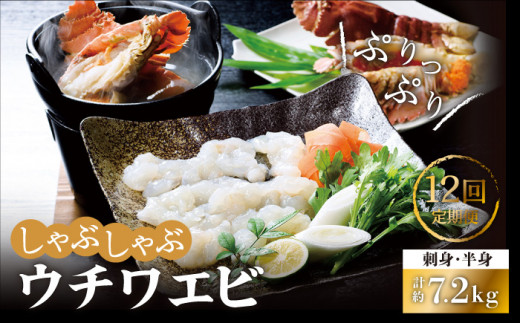 【12回定期便】ウチワエビしゃぶしゃぶA刺身・半身セット 600g【ひばり】[KAA233]/ 長崎 平戸 魚介類 海老 エビ ウチワエビ 季節限定 ご当地 グルメ 刺身 しゃぶしゃぶ 定期便