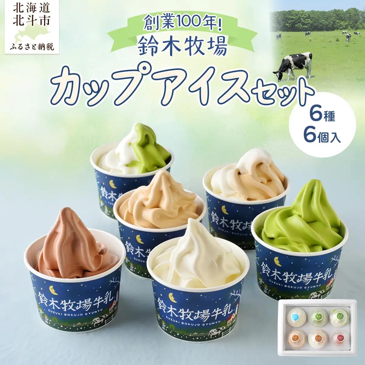 北海道産 カップアイス 6種6個 詰め合わせ 鈴木牧場 創業100年 1頭1頭に名前を付け愛情込めて育てた牛の新鮮ミルク使用 HOKAZ001