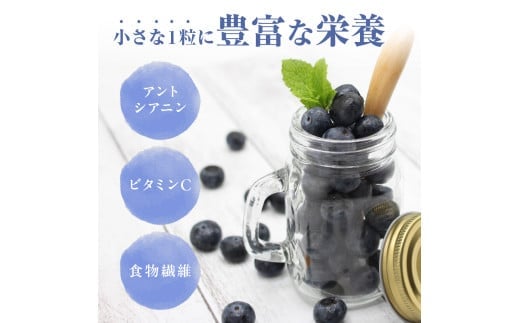栽培期間中農薬・有機肥料で丹精込めて栽培した「ブルーベリー」1kg